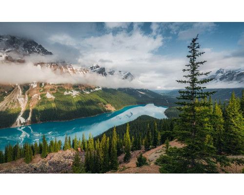 Wonderland Canada mit Blick auf den Peyto Lake und die Rocky Mountains.
