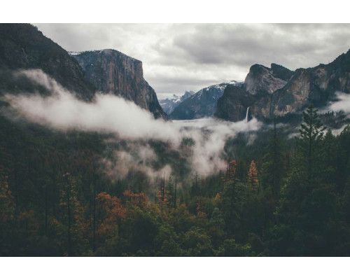 Fototapete des Yosemite-Nationalparks mit beeindruckenden Bergen und dichten Wäldern in einer malerischen Landschaft.