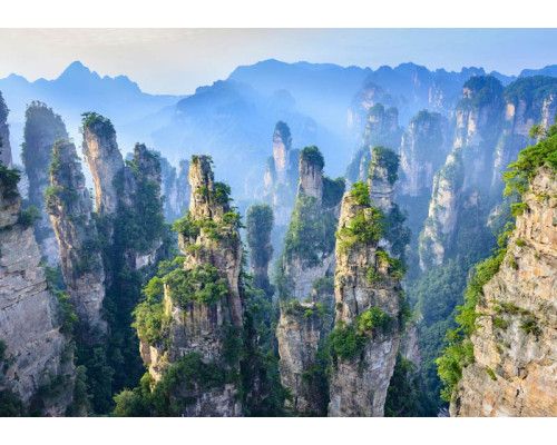 Fototapete des Zhangjiajie National Forest Park in China mit beeindruckenden Bergketten und Bergen inmitten üppiger Natur.