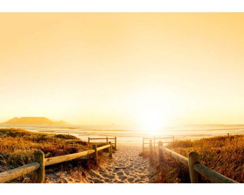 Fototapete eines sonnenverwöhnten Weges, der zu einem von Dünen und natürlicher Vegetation umgebenen Strand führt.