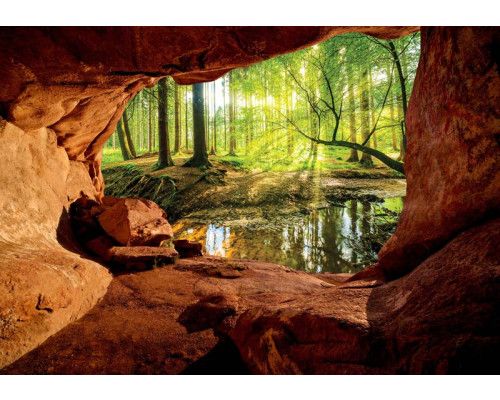Fototapete eines sonnigen Waldes von einer Höhle aus gesehen mit einem heiteren und warmen Blick.