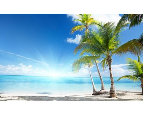 Sonniger Strand mit Palmen und strahlend blauem Meer, mit einer hellen Sonne, die Wärme ausstrahlt, Fototapete für eine exotische Atmosphäre.