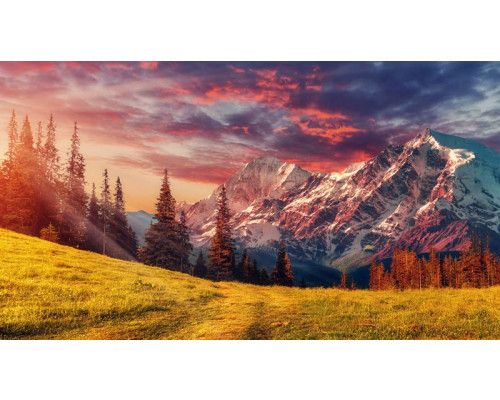 Ein sonniger Tag in den Alpen, wo Berge und Natur auf einer lebendigen Fototapete zusammenkommen.