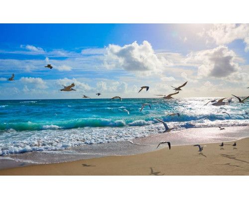 Fototapete von sonnigen Wellen, die den Strand erreichen, mit Möwen, die am Himmel über dem Meer aufsteigen.