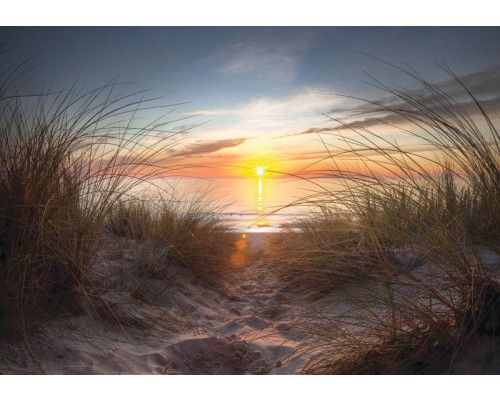 Diese Fototapete zeigt einen atemberaubenden Sonnenuntergang am Strand, mit Blick auf das Meer und die Dünen in warmen Farbtönen.