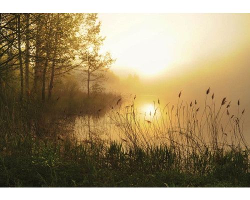 Fototapete eines Sonnenuntergangs über einem nebligen See, mit einem heiteren Blick.