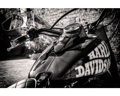 Harley Davidson Motorrad auf einer coolen Fototapete abgebildet.