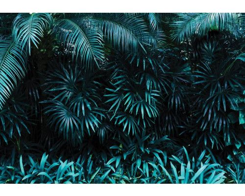 Dschungelblätter Fototapete, perfekt für Dschungelzimmer.