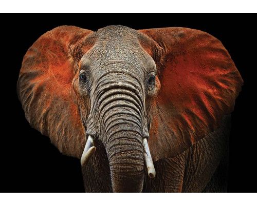 Rost auf einer Betonwand mit industriellem Thema auf Fototapete.