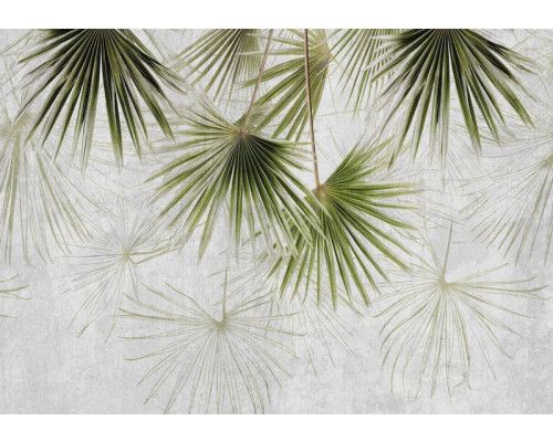 Fototapete mit exotischen Pflanzen auf Beton, mit einer Mischung aus Dschungel und Industrie.