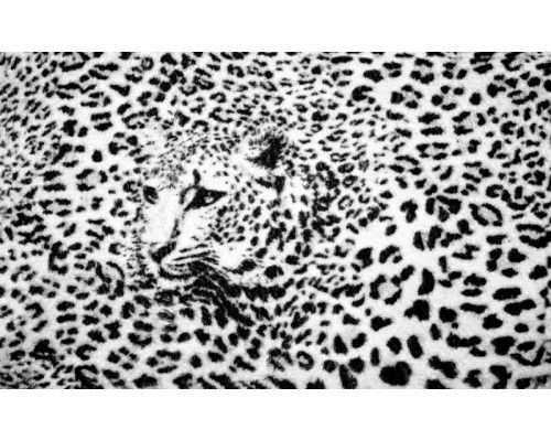 Panther Druck Fototapete mit Gepard und Gepard, wild und hart.