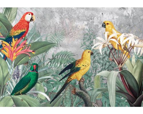 Papageien-Dschungel-Fototapete, bunt und naturgetreu.