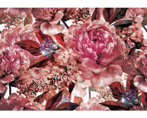 Fototapete eines Gemäldes mit Blumen in Rot, künstlerisch und bunt.