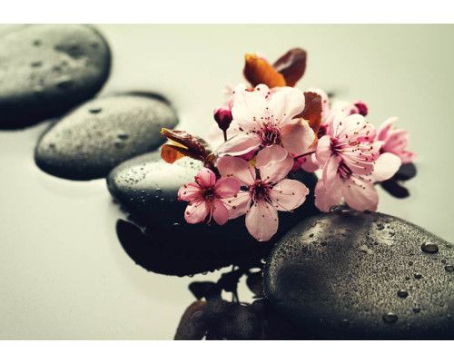 Spa-Fototapete mit Wellness-Atmosphäre, Sauna-Elementen, Steinen und Blumen, für einen entspannenden Look.