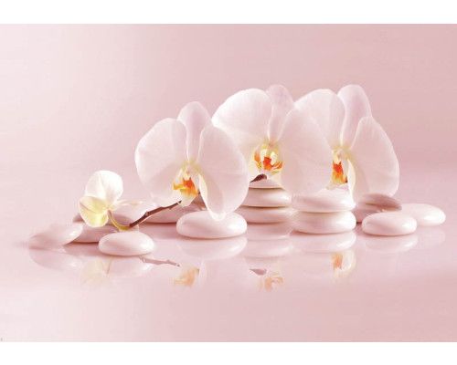 Spa-Fototapete mit Wellness-Thema, Orchideen und Steinen.