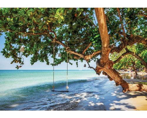 Fototapete von einem Strand mit einer Baumschaukel am Meer, beruhigende Aussicht.