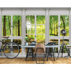 Fototapete mit sonnigem Wald und grüner Natur, geeignet für das Büro.
