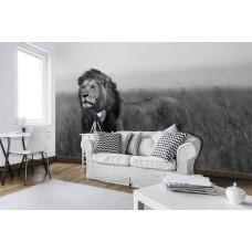 Eine Fototapete mit einem Schwarz-Weiß-Bild eines Löwen, geeignet für ein modernes Büro.