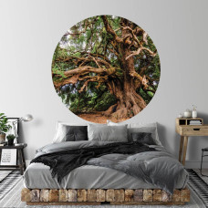 Tapetenkreis mit altem Baum und Olivenbaum als Märchenbaum für das Schlafzimmer.