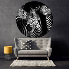 Zebra Tapetenkreis für Wohnzimmer.