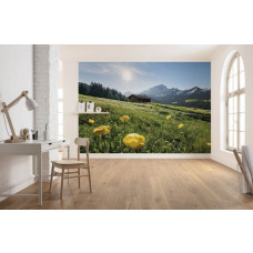 Eine Fototapete der majestätischen Alpen, mit Bergen und einer friedlichen Landschaft.