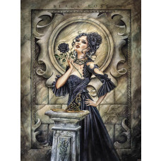 Fototapete mit einer schwarzen Rose mit Alchemie-Thema, geheimnisvoll und dunkel.