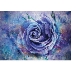 Blaue Rose im Malstil auf Fototapete, geheimnisvoll und bezaubernd.