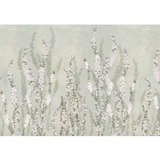 Fototapete Boho Blumenmotiv in Grau auf Wand mit floralen Mustern.