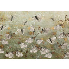 Fototapete Boho Vlinders Muur, beige Vlinder auf hellem Hintergrund.