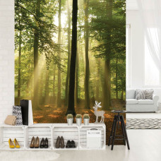 Eine Fototapete mit Bäumen und Sonnenstrahlen in einem Wald bei Sonnenaufgang für das Wohnzimmer.
