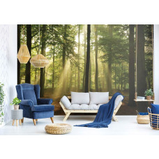 Eine Fototapete eines Waldes bei Sonnenaufgang und Sonnenstrahlen im Wohnzimmer.