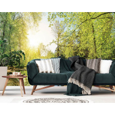Eine Fototapete mit einer beruhigenden Waldlandschaft und Sonnenlicht, perfekt für das Wohnzimmer.