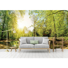 Eine Fototapete mit einer Waldlandschaft und Sonnenlicht, das durch die Bäume scheint, perfekt für das Wohnzimmer.