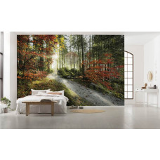 Eine Fototapete von einem Herbstwald in den Alpen, ideal für das Schlafzimmer.