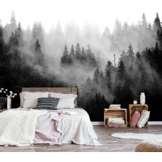Eine Fototapete einer nebligen Waldlandschaft in der Natur für das Schlafzimmer.