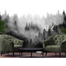 Eine Fototapete einer nebligen Waldlandschaft in der Natur für das Wohnzimmer.