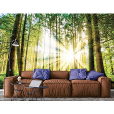 Eine Fototapete, die eine ruhige Waldlandschaft bei Sonnenuntergang zeigt, beleuchtet von sanftem Tageslicht, platziert in einem Wohnzimmer.