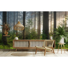 Fototapete mit einem sonnigen Wald und natürlichem Licht in einem modernen Wohnzimmer.