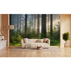 Fototapete mit einem sonnigen Wald in einem modernen Wohnzimmer.
