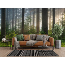 Fototapete mit einem Wald und warmem Morgenlicht in einem stilvollen Wohnzimmer.