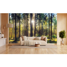 Fototapete mit einem sonnigen Kiefernwald in einem stilvollen Wohnzimmer.
