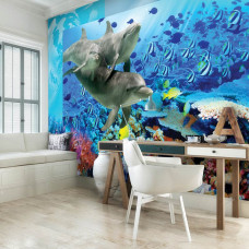 Eine Fototapete mit Delphinen, die im klaren Wasser mit Fischen schwimmen, ideal für ein Kinderzimmer.