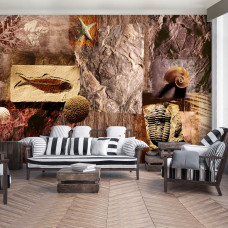 Eine Fototapete mit Fossilien und Muscheln in einem prähistorischen Design mit visuellen Details.