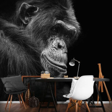Eine Fototapete mit einem Gorilla im Dschungel für das Wohnzimmer.