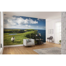 Eine Fototapete von einer grünen Landschaft in Irland, mit Schafen weiden in der Natur.