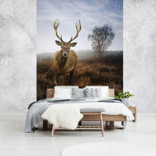 Eine Fototapete von einem Reh in einer nebligen Naturlandschaft auf der Wiese im Schlafzimmer gesehen.