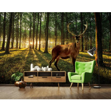 Eine Fototapete von einem Reh in einem sonnigen Wald mit Bäumen und Natur auf dem Display im Wohnzimmer.