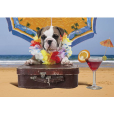 Fototapete mit einem Hund am Strand, Teil der Kollektion Tollwütige Tiere am Strand.