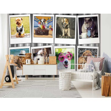 Fototapete mit einer Collage aus Hunden und Katzen, ideal für das Babyzimmer.