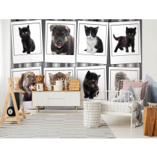 Eine Fototapete mit Kätzchen und Welpen in einer Collage für das Schlafzimmer.